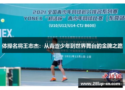 体操名将王志杰：从青涩少年到世界舞台的金牌之路