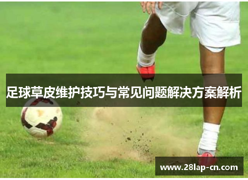 足球草皮维护技巧与常见问题解决方案解析