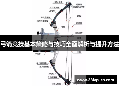 弓箭竞技基本策略与技巧全面解析与提升方法